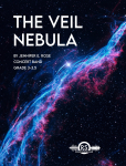 The Veil Nebula
